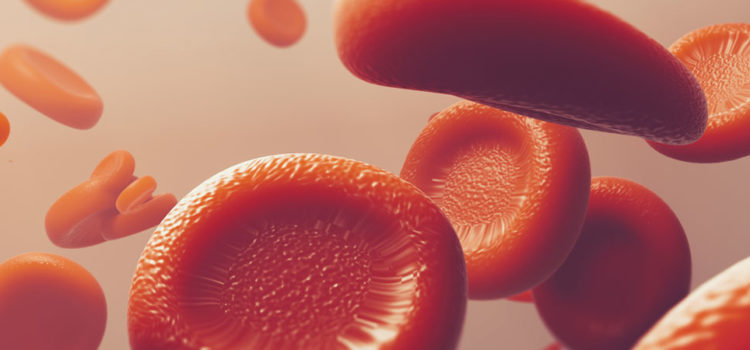 Typage des cellules sanguines